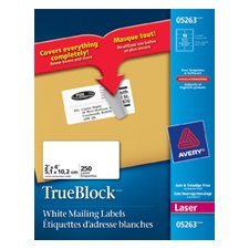 White Rectangle Labels Package of 25 sheets 4 x 2” (250)