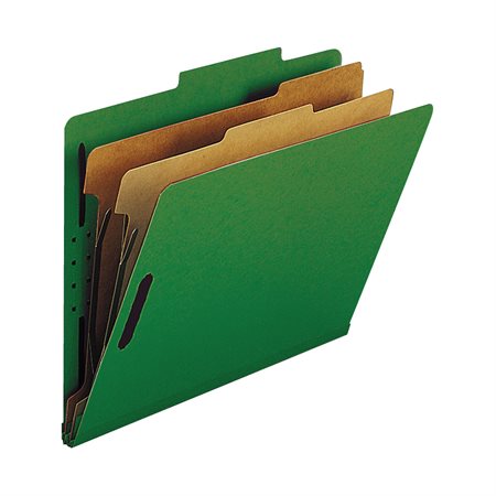 Classification Folders with Fasteners Letter size, 2 dividers green
