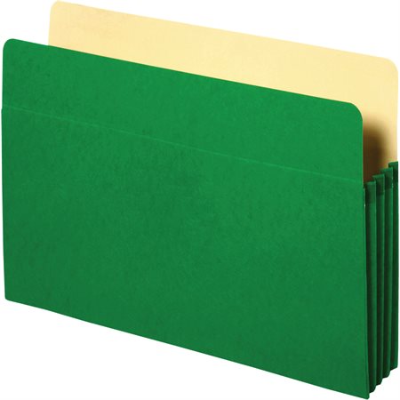 Expanding File Pocket green