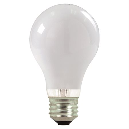 A19 Halogen Bulbs 40W 430 lumens