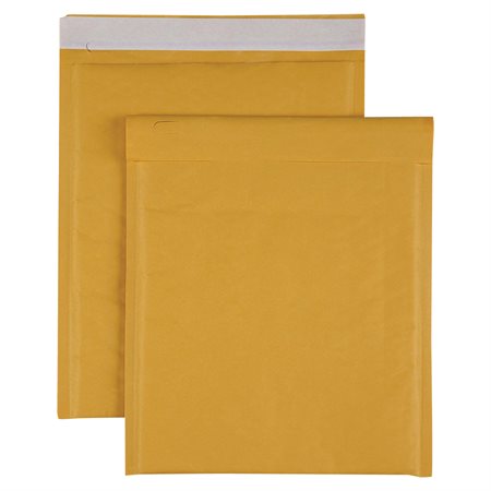 Cushioned Shipping Envelope #2. 8-1 / 2 x 12 in. (100)