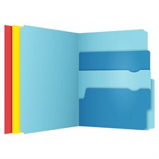 Divide It Up™ File Folder assorted colours