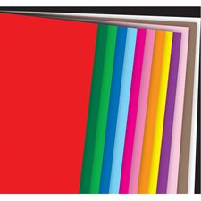 Construction Paper 12 x 18 in. assorted colours