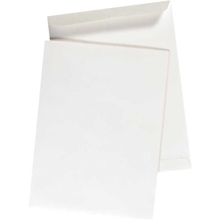 White Catalogue Envelope 10 x 13 in. pkg 100