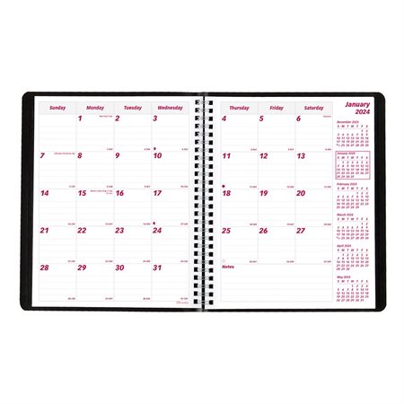 Monthly Diary (2025)