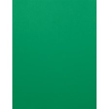 EarthChoice® Hots® Cover Stock green