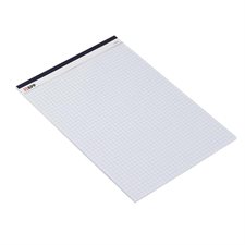 Notepad Letter size, quad ruled, 4 sq/in. each
