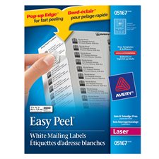 Étiquettes rectangulaires blanches Easy Peel® Boîte de 100 feuilles 1-3/4 x 1/2"  (8000)