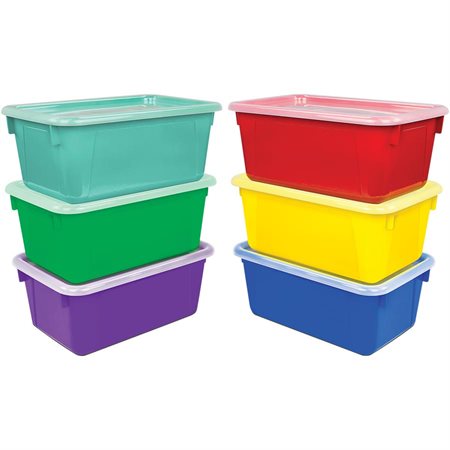 Small Cubby Bin With lid