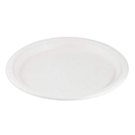 Assiettes Eco Guardian 10"