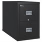 Patriot Letter Size Fireproof Vertical File Cabinet 2 drawers, 27-3 / 4 in. H. black
