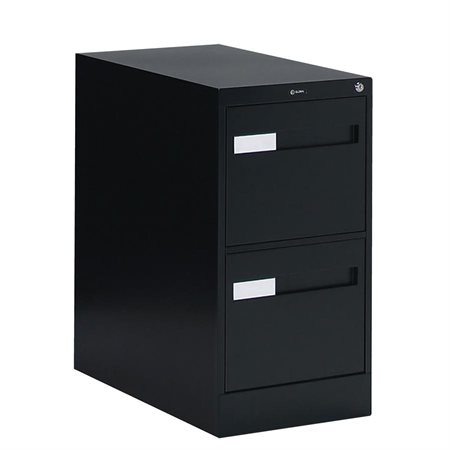 Fileworks® 2600 Plus Legal Size Vertical Filing Cabinet 2 drawers, 29 in. H. black