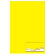 Foamboard Panel 3/16 in. 20 x 30 in, yellow