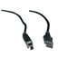 Series A male / B male USB Cable