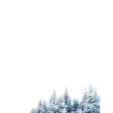 Holiday Lettehead Paper snowy pines