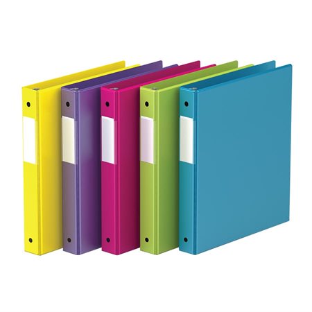 Ring Binder 2 in. (475-sheet capacity)