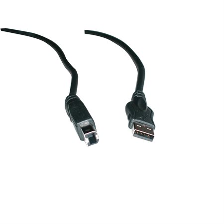 Series A / B USB Cable USB 2.0 10'