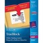 White Rectangle Labels Package of 25 sheets 4 x 3-1 / 3" (150)