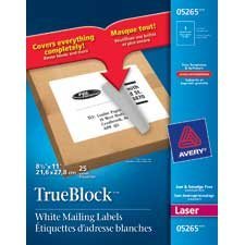 White Rectangle Labels Package of 25 sheets 8-1/2 x 11" (25)