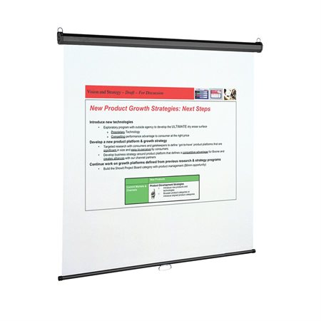 Wall or Ceiling Projection Screen 60 x 60"