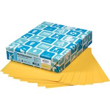 Lettermark® Multipurpose Coloured Paper 8-1/2 x 11". Package of 500. goldenrod