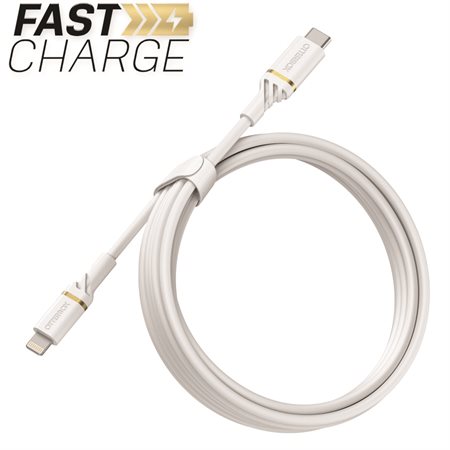 Cable Lighting de charge  /  synchronisation au câble de charge rapide USB-C blanc
