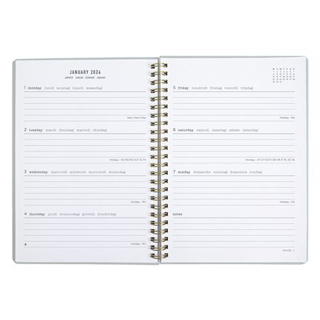 Celebrate Weekly / Monthly Planner (2025) sky blue