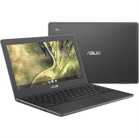 Chromebook Asus C204