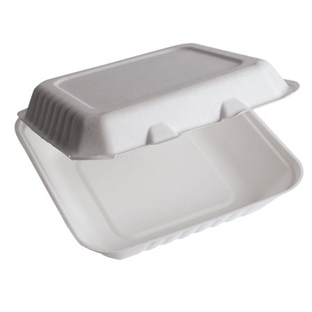 Hinged Lid Container 2 compartments 9 x 6 in.