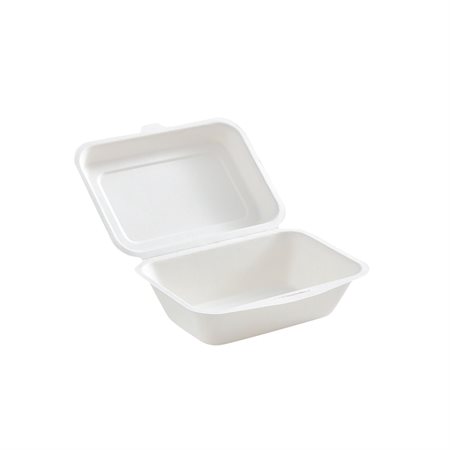 Hinged Lid Container 1 compartment 7 x 5 in.