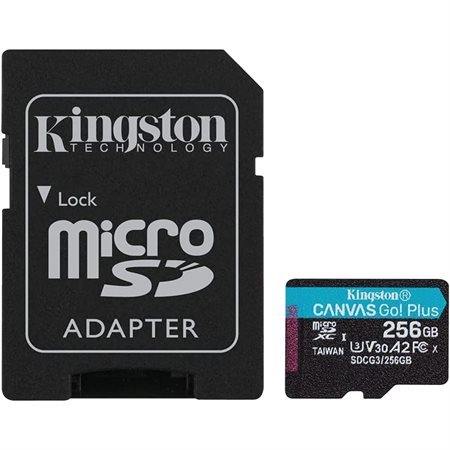 Canvas Go MicroSD Memory Card 256Gb