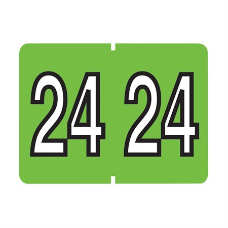 Étiquettes de classement annuel pour onglet latéral 2024 - vert pâle