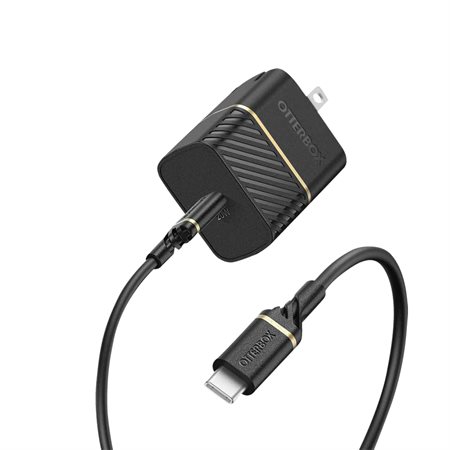 Premium Fast Charge Power Delivery Wall Charger black