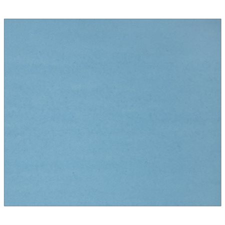 Colour Cardstock light blue