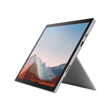 Tablette Microsoft Surface Pro 7+ 12,3 po 256 Go
