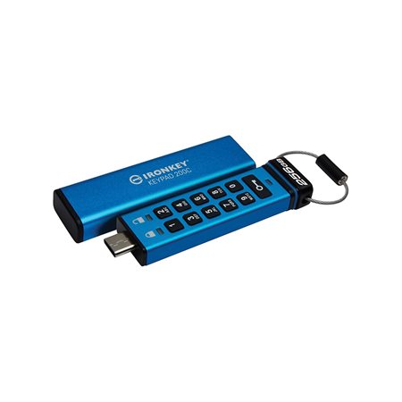 Ironkey USB Key 256 GB