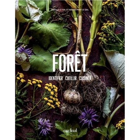 Forêt :  Identifier, cueillir, cuisiner