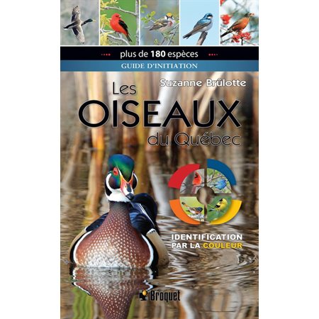 Les oiseaux du Quebec, guide initiation