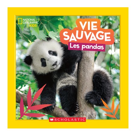 Vie Sauvage: Les pandas