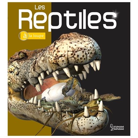 Les reptiles, à la loupe