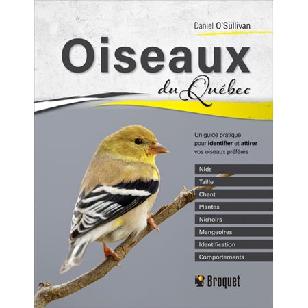 Oiseaux du Québec : un guide pratique pour identifier et attirer vos oiseaux préférés