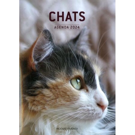 Chat (agenda 2024)