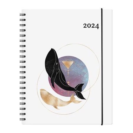 Agenda  Maxwell 2024 Garbo-B Baleines Hebdomadaire