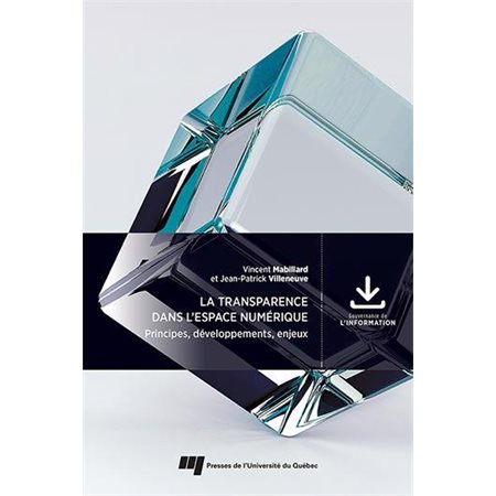 La transparence dans l’espace numérique : Principes, développements, enjeux, Gouvernance de l'information