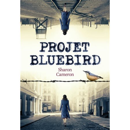 Projet Bluebird
