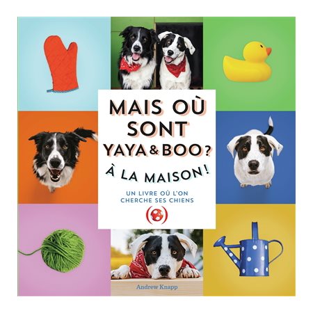 Mais où sont Yaya & Boo ? : à la maison ! : un livre où l'on cherche ses chiens, Mais où est Momo ?