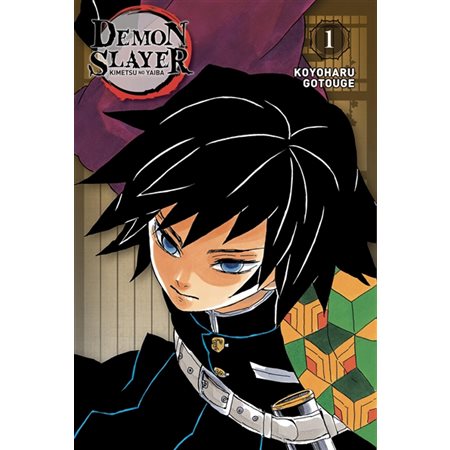 Demon slayer : Kimetsu no yaiba, Vol. 1, Edition pilier