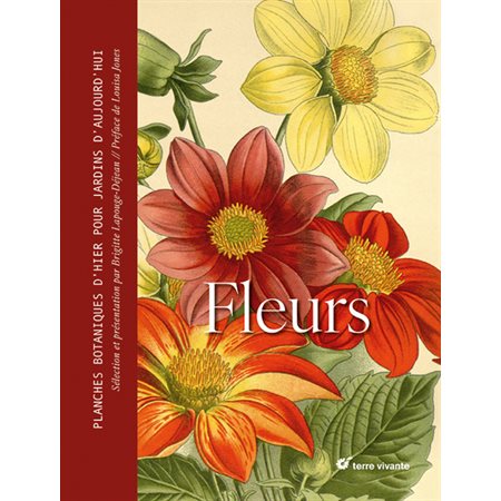 Fleurs : planches botaniques d'hier pour jardins d'aujourd'hui