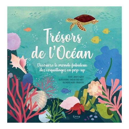 Trésors de l'océan : découvre le monde fabuleux des coquillages en pop-up