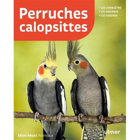 Perruches calopsittes, Oiseaux